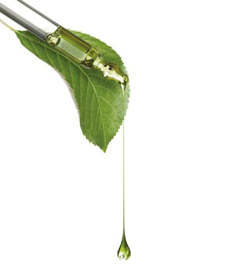 Revivre es la tricología italiana de laboratorio que está revolucionando los salones. Protocolos técnicos, claros y fáciles de aplicar, sin necesidad de equipamiento especial.